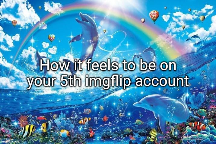 Happy dolphin rainbow | How it feels to be on your 5th imgflip account | image tagged in happy dolphin rainbow | made w/ Imgflip meme maker
