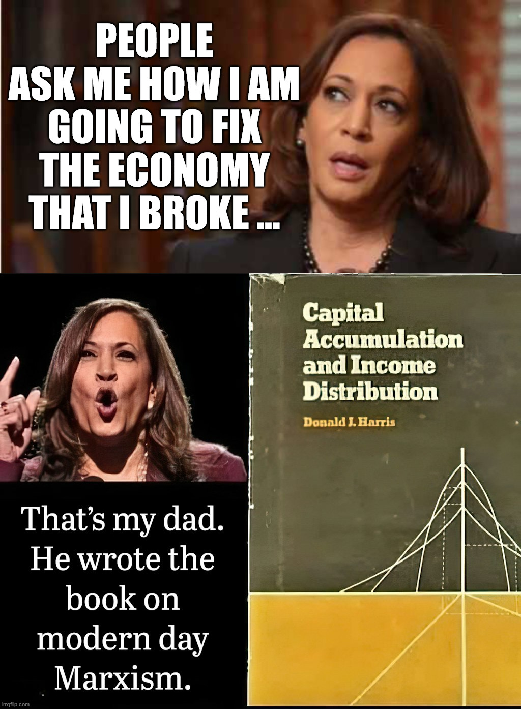 When you have broken something you usually hire another person to fix it | PEOPLE ASK ME HOW I AM GOING TO FIX THE ECONOMY THAT I BROKE ... | image tagged in kamala harris | made w/ Imgflip meme maker