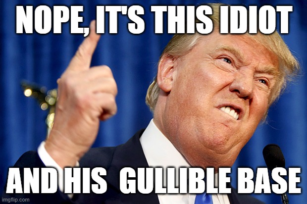 Donald Trump | NOPE, IT'S THIS IDIOT AND HIS  GULLIBLE BASE | image tagged in donald trump | made w/ Imgflip meme maker