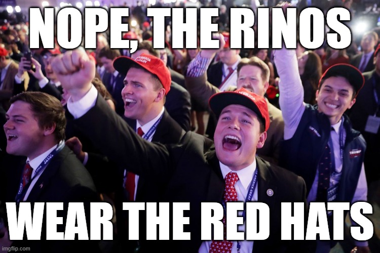 MAGA Crowd | NOPE, THE RINOS WEAR THE RED HATS | image tagged in maga crowd | made w/ Imgflip meme maker