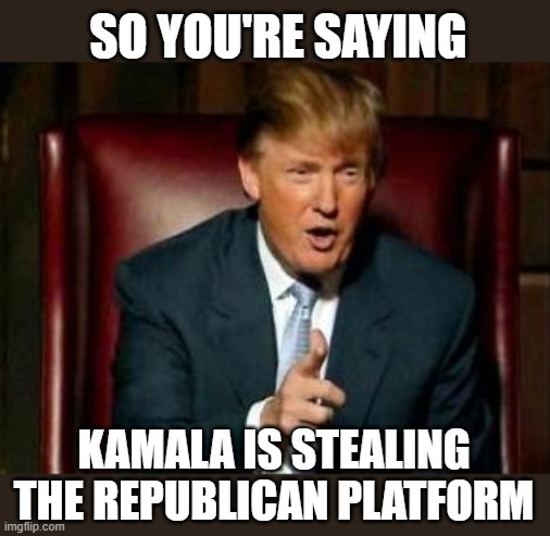 Donald Trump | SO YOU'RE SAYING KAMALA IS STEALING THE REPUBLICAN PLATFORM | image tagged in donald trump | made w/ Imgflip meme maker