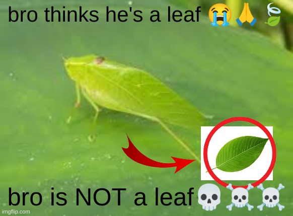 post | bro thinks he's a leaf 😭🙏🍃; bro is NOT a leaf💀☠️☠️ | made w/ Imgflip meme maker