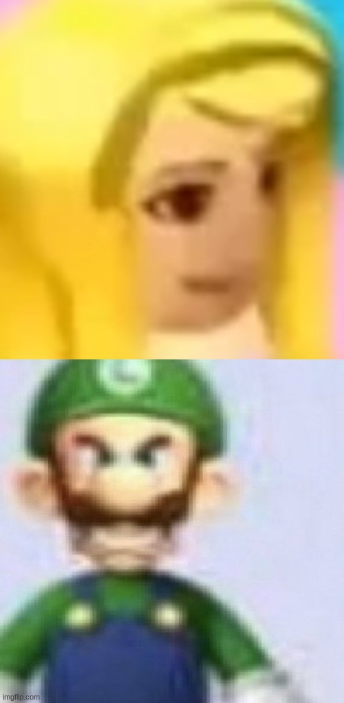 image tagged in what,angry luigi | made w/ Imgflip meme maker