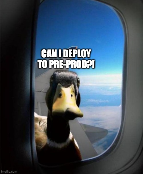 Duck on plane wing | CAN I DEPLOY TO PRE-PROD?! | image tagged in duck on plane wing | made w/ Imgflip meme maker