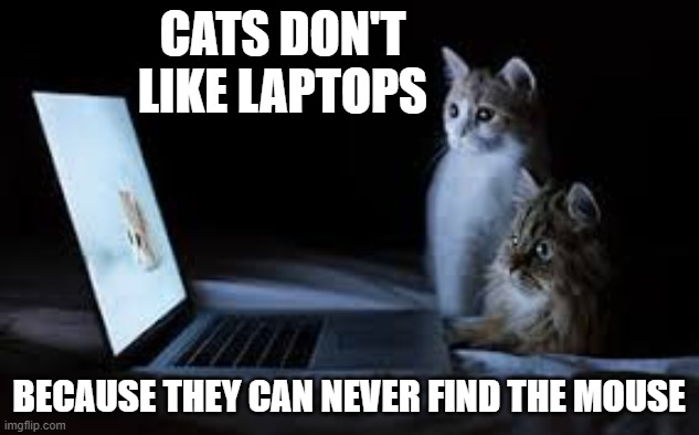 memes by Brad - cats don't like laptop because they can never find the mouse | CATS DON'T LIKE LAPTOPS; BECAUSE THEY CAN NEVER FIND THE MOUSE | image tagged in funny,gaming,cats,computers,kittens,humor | made w/ Imgflip meme maker