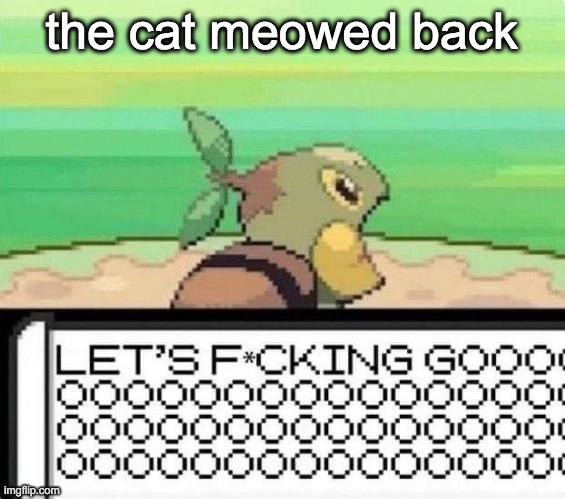 turtwig lets fucking go | the cat meowed back | image tagged in turtwig lets fucking go | made w/ Imgflip meme maker