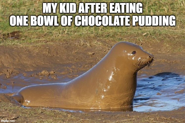 Brown Mess | MY KID AFTER EATING ONE BOWL OF CHOCOLATE PUDDING | image tagged in funny,memes | made w/ Imgflip meme maker