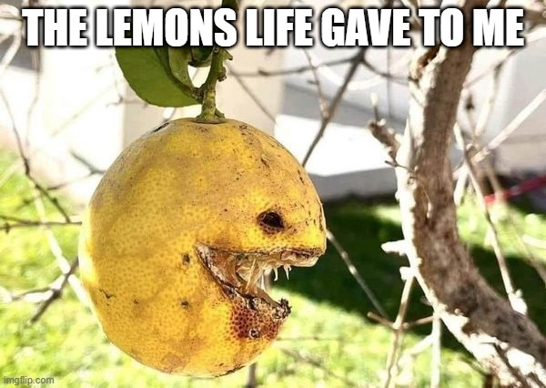 When Life Gives You Lemons | THE LEMONS LIFE GAVE TO ME | image tagged in funny,memes | made w/ Imgflip meme maker
