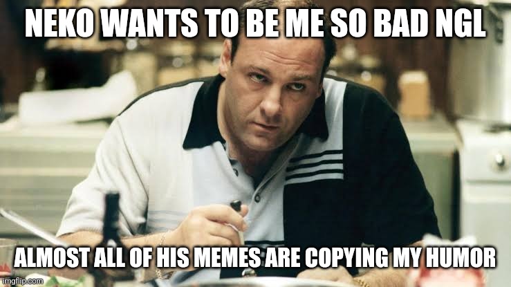 sometimes it's even same word by word | NEKO WANTS TO BE ME SO BAD NGL; ALMOST ALL OF HIS MEMES ARE COPYING MY HUMOR | image tagged in tony soprano | made w/ Imgflip meme maker