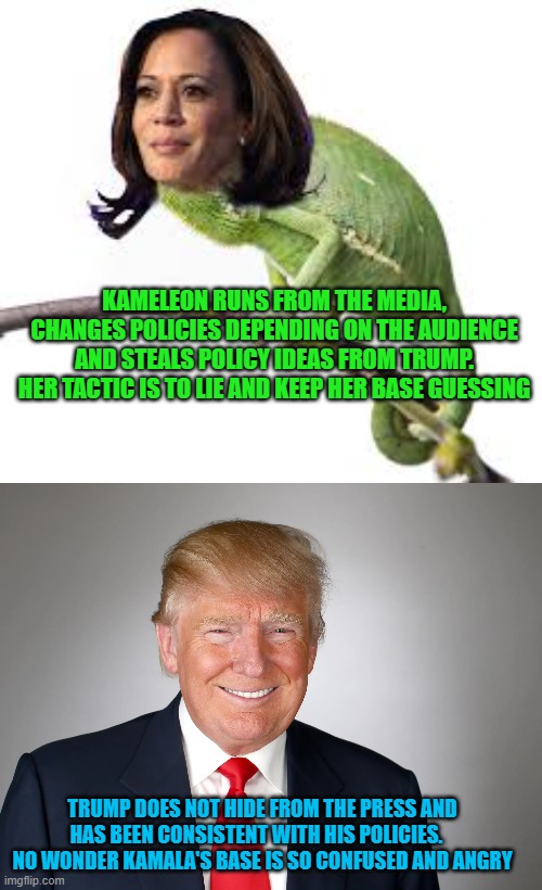 kameleon | KAMELEON RUNS FROM THE MEDIA, CHANGES POLICIES DEPENDING ON THE AUDIENCE AND STEALS POLICY IDEAS FROM TRUMP. HER TACTIC IS TO LIE AND KEEP HER BASE GUESSING; TRUMP DOES NOT HIDE FROM THE PRESS AND HAS BEEN CONSISTENT WITH HIS POLICIES.   
NO WONDER KAMALA'S BASE IS SO CONFUSED AND ANGRY | made w/ Imgflip meme maker