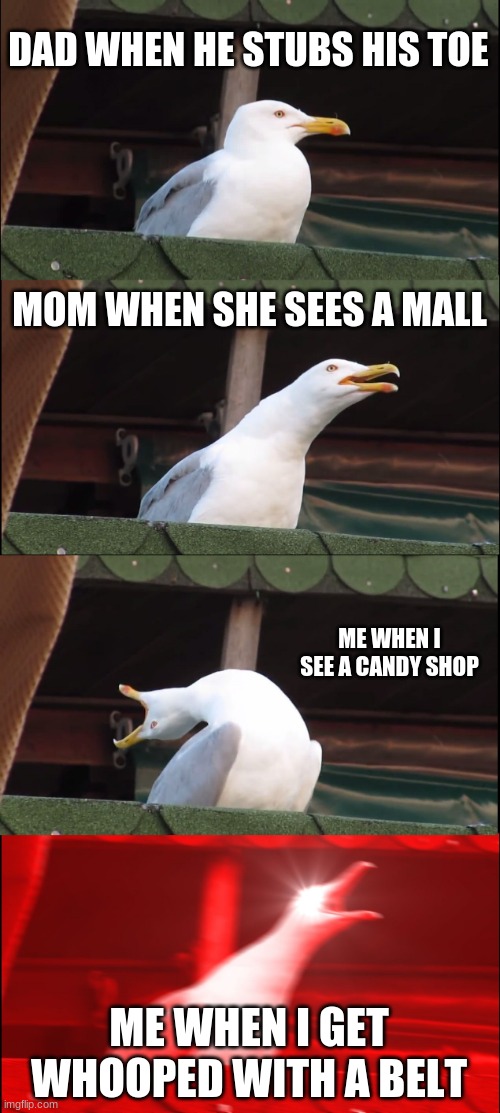 Kids am i right? | DAD WHEN HE STUBS HIS TOE; MOM WHEN SHE SEES A MALL; ME WHEN I SEE A CANDY SHOP; ME WHEN I GET WHOOPED WITH A BELT | image tagged in memes,inhaling seagull | made w/ Imgflip meme maker