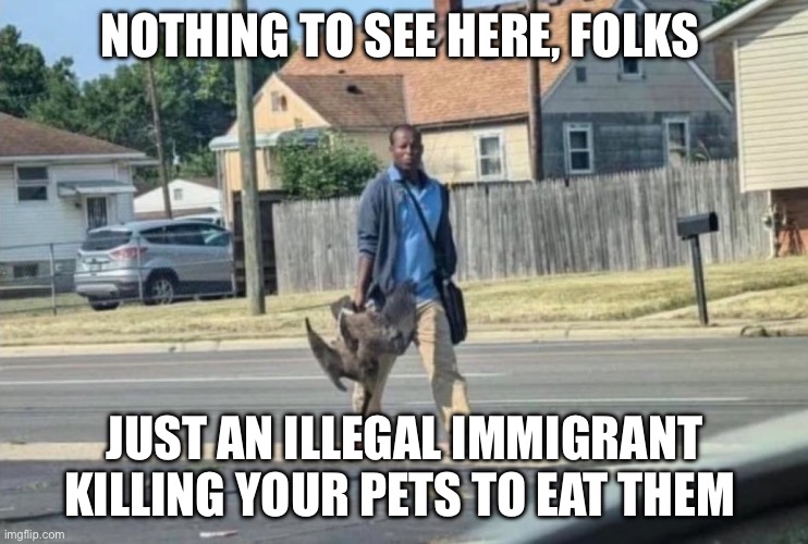 Pet eaters | NOTHING TO SEE HERE, FOLKS; JUST AN ILLEGAL IMMIGRANT KILLING YOUR PETS TO EAT THEM | image tagged in illegal immigration,politics,political meme,pets,cats | made w/ Imgflip meme maker