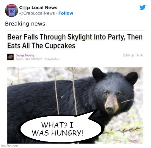 Fat Bear | WHAT? I WAS HUNGRY! | image tagged in headlines | made w/ Imgflip meme maker