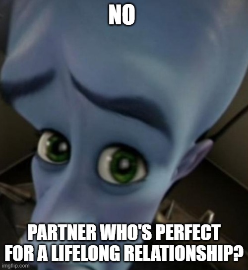 much better than having bitches | NO; PARTNER WHO'S PERFECT FOR A LIFELONG RELATIONSHIP? | image tagged in megamind no bitches | made w/ Imgflip meme maker