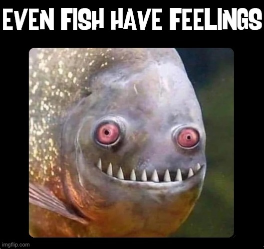 Funny Face of Reality | EVEN FISH HAVE FEELINGS | image tagged in vince vance,fish,goofy,feelings,memes,cursed image | made w/ Imgflip meme maker