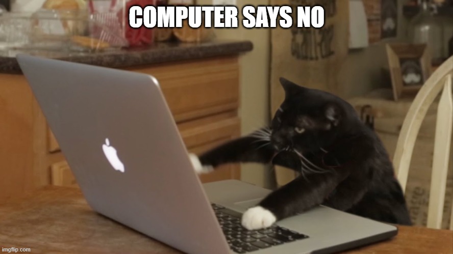 Furiously Typing Cat | COMPUTER SAYS NO | image tagged in furiously typing cat | made w/ Imgflip meme maker