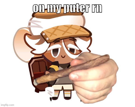 smore cookie with a blunt | on my puter rn | image tagged in smore cookie with a blunt | made w/ Imgflip meme maker