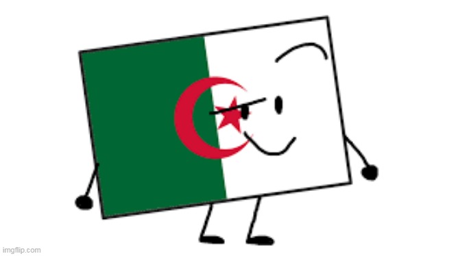 FriesBFDI | image tagged in algeria flag bfdi | made w/ Imgflip meme maker