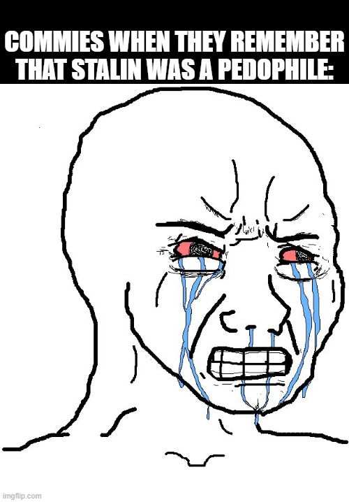 Angry Wojak | COMMIES WHEN THEY REMEMBER THAT STALIN WAS A PEDOPHILE: | image tagged in angry wojak,facts,pedo,stalin | made w/ Imgflip meme maker