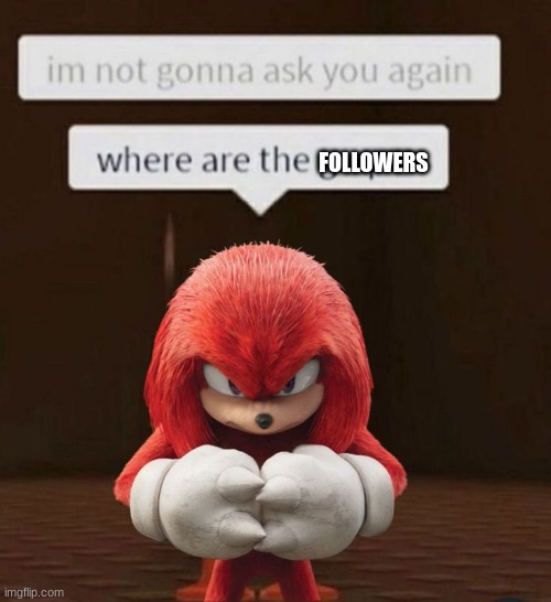 He is Asking once more | FOLLOWERS | image tagged in knuckles | made w/ Imgflip meme maker