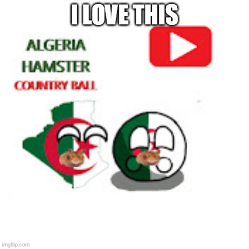 i love this | I LOVE THIS | image tagged in algeria hamster country ball | made w/ Imgflip meme maker