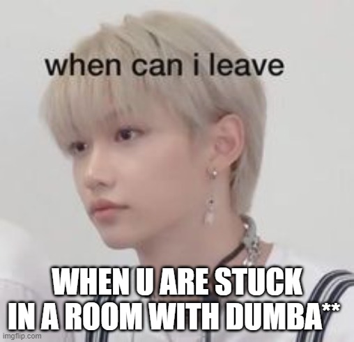 felix stray kids | WHEN U ARE STUCK IN A ROOM WITH DUMBA** | image tagged in felix stray kids | made w/ Imgflip meme maker