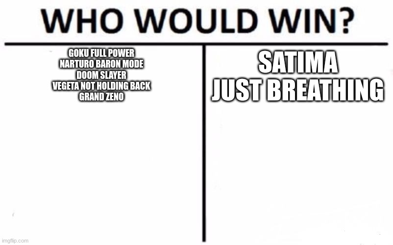 I Mean am I Right | GOKU FULL POWER
NARTURO BARON MODE
DOOM SLAYER
VEGETA NOT HOLDING BACK
GRAND ZENO; SATIMA JUST BREATHING | image tagged in memes,who would win | made w/ Imgflip meme maker