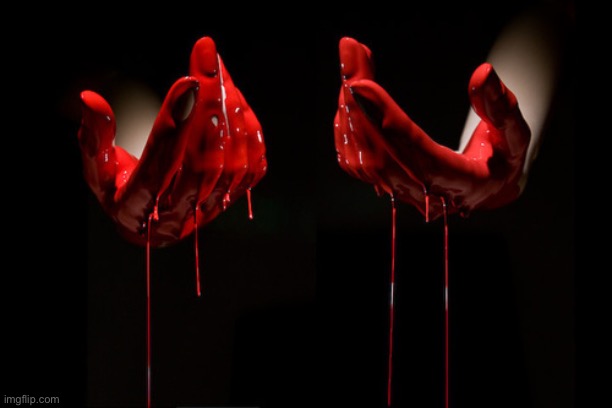 bloody hands | image tagged in bloody hands | made w/ Imgflip meme maker