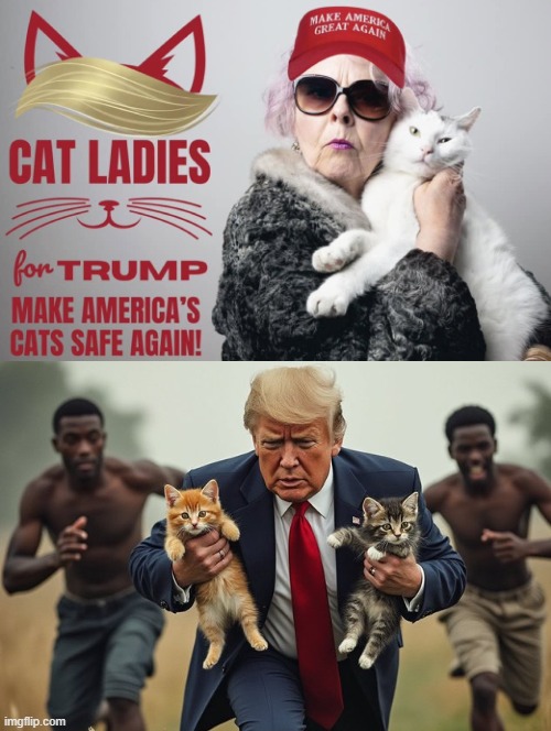 Cat ladies for Trump!! | image tagged in cats,illegal aliens | made w/ Imgflip meme maker