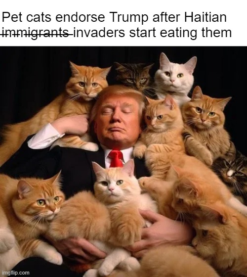 Politics makes strange bedfellows | Pet cats endorse Trump after Haitian  ̶i̶m̶m̶i̶g̶r̶a̶n̶t̶s̶ invaders start eating them | made w/ Imgflip meme maker