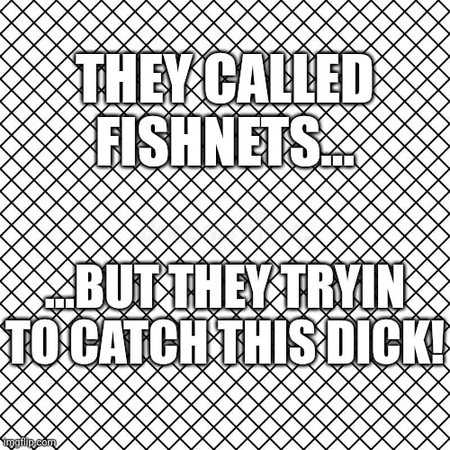 THEY CALLED FISHNETS... ...BUT THEY TRYIN TO CATCH THIS DICK! | image tagged in sex,fishing | made w/ Imgflip meme maker