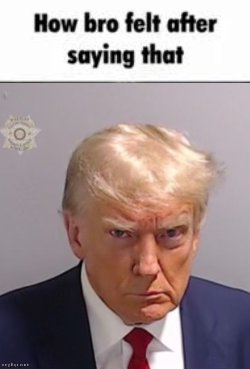 image tagged in how bro felt after saying that,donald trump mugshot | made w/ Imgflip meme maker