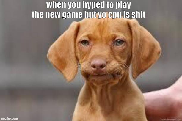 Disappointed Dog | when you hyped to play the new game but yo cpu is shit | image tagged in disappointed dog | made w/ Imgflip meme maker