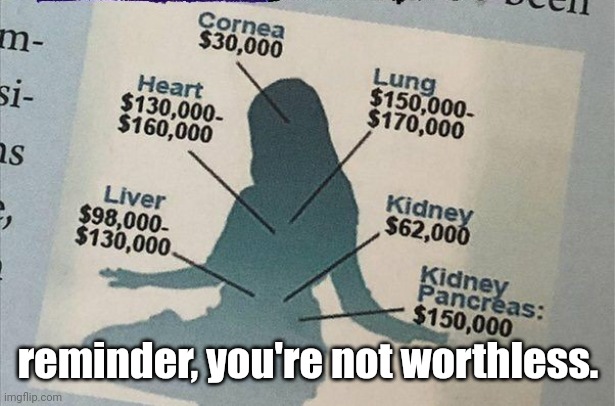reminder, you're not worthless. | made w/ Imgflip meme maker