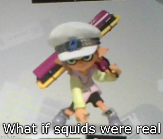 What if squids were real | made w/ Imgflip meme maker