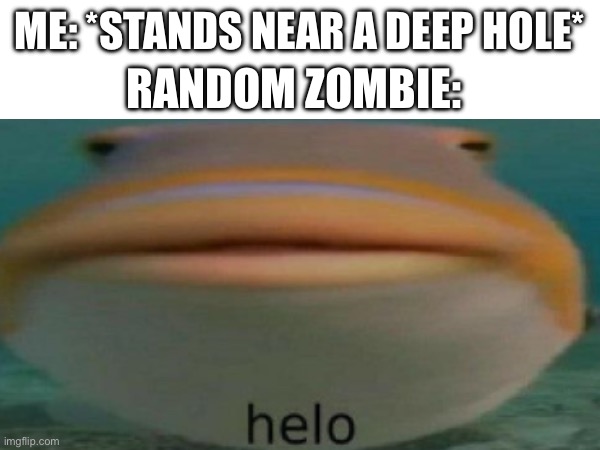 Minecraft Memes | RANDOM ZOMBIE:; ME: *STANDS NEAR A DEEP HOLE* | image tagged in minecraft | made w/ Imgflip meme maker