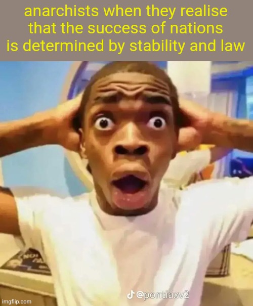 societal breakdown at its finest | anarchists when they realise that the success of nations is determined by stability and law | image tagged in shocked black guy | made w/ Imgflip meme maker