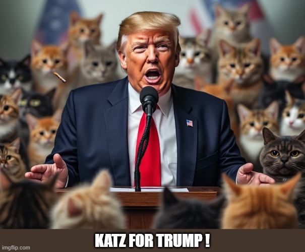 KATZ FOR TRUMP ! | KATZ FOR TRUMP ! | image tagged in trump speaking to cats | made w/ Imgflip meme maker