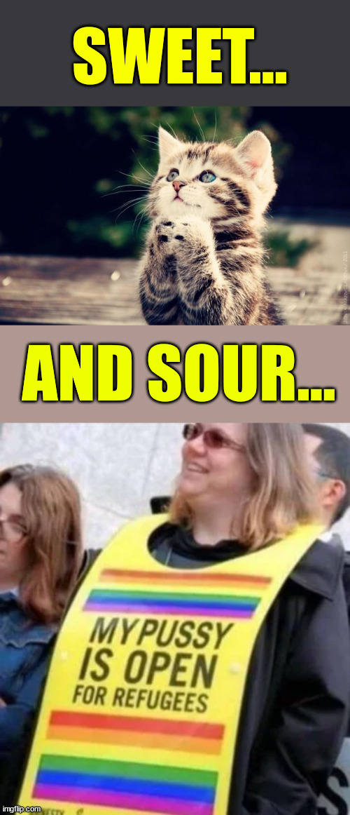 AND SOUR... SWEET... | image tagged in cute kitty | made w/ Imgflip meme maker