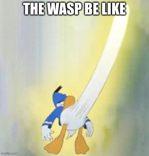 Donald horny 100 | THE WASP BE LIKE | image tagged in donald horny 100 | made w/ Imgflip meme maker