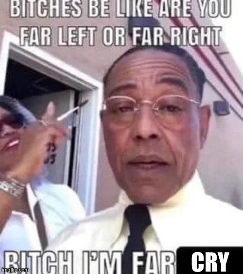 bitch i'm farting | CRY | image tagged in bitch i'm farting | made w/ Imgflip meme maker