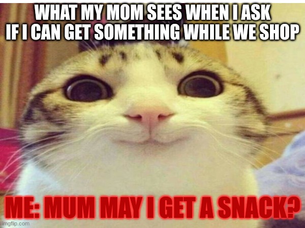 when my mom and I go shopping | WHAT MY MOM SEES WHEN I ASK IF I CAN GET SOMETHING WHILE WE SHOP; ME: MUM MAY I GET A SNACK? | image tagged in funny | made w/ Imgflip meme maker