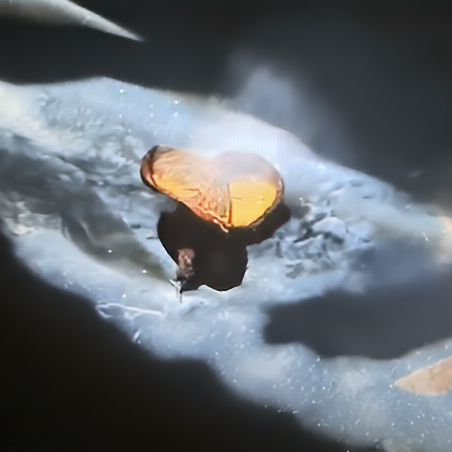 Tikka Masala Blank Meme Template