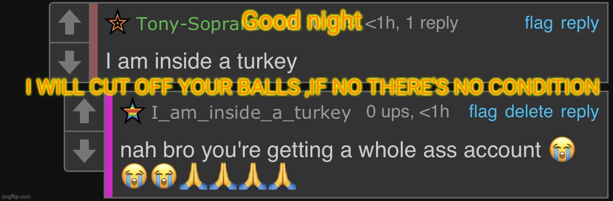 i am inside a turkey | Good night; I WILL CUT OFF YOUR BALLS ,IF NO THERE'S NO CONDITION | image tagged in i am inside a turkey | made w/ Imgflip meme maker