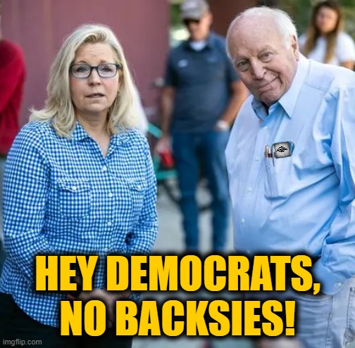 HEY DEMOCRATS,
NO BACKSIES! | image tagged in dick cheney,liz cheney,rino,dnc,traitors | made w/ Imgflip meme maker