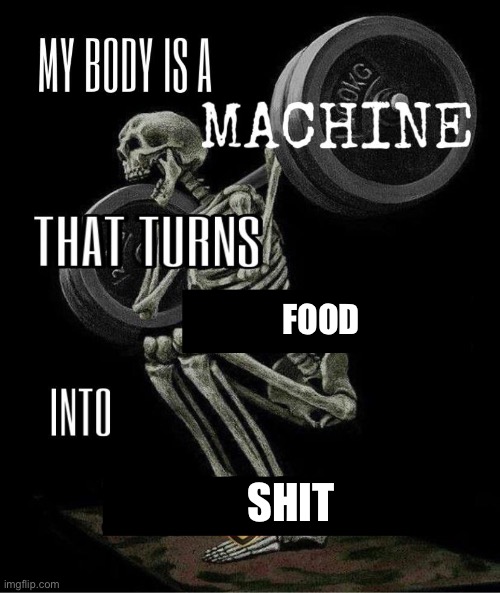 My body is machine | FOOD; SHIT | image tagged in my body is machine | made w/ Imgflip meme maker