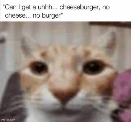 image tagged in my honest reaction | made w/ Imgflip meme maker