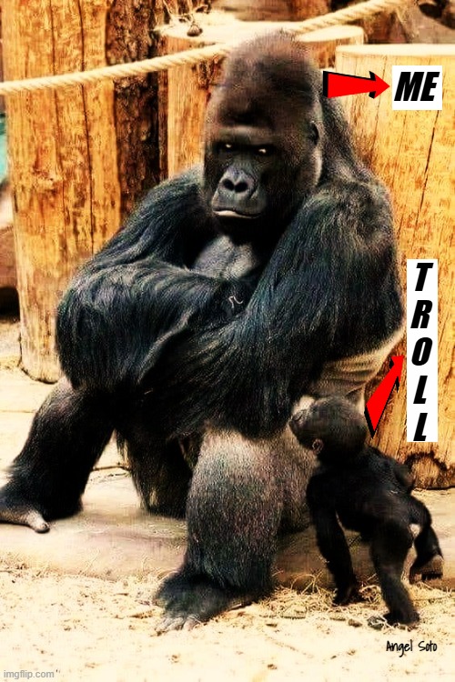 Me vs troll | ME; T
R
O
L
L; Angel Soto | image tagged in gorilla dad and son interaction,trolls,internet trolls,gorilla | made w/ Imgflip meme maker