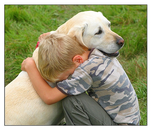 High Quality Dog consoling boy Blank Meme Template