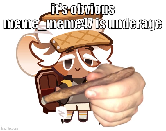 smore cookie with a blunt | it's obvious meme_meme47 is underage | image tagged in smore cookie with a blunt | made w/ Imgflip meme maker